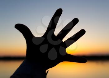 silhouette of the hand on the sunset background