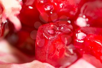 Pomegranate as a background. super macro