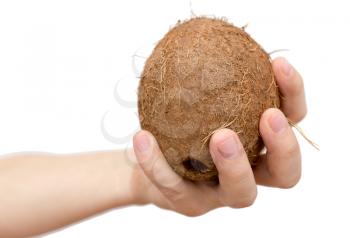 Coconut in hand on a white background