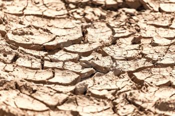 cracked dry earth as a background
