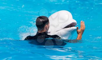 coach with white dolphin in the pool