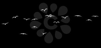 silhouette of a flock of birds on a black background