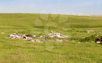 garbage in the spring steppe