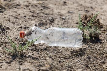 plastic bottle in nature as garbage