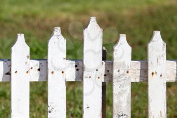white wooden fence on nature