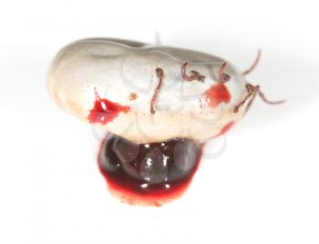 mites in blood on a white background. macro