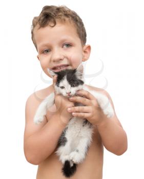 kitten in the hands of the boy on a white background