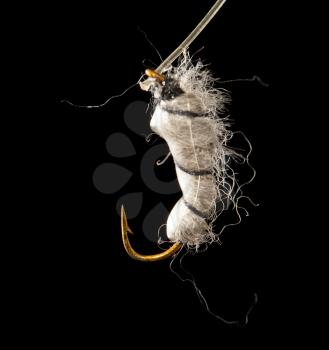 fly to catch fish on a black background