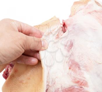 pork meat in a hand on a white background