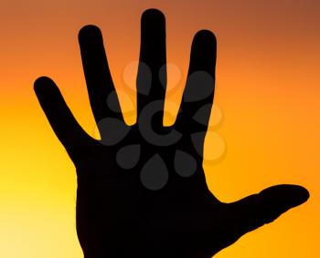 silhouette of hand at sunset