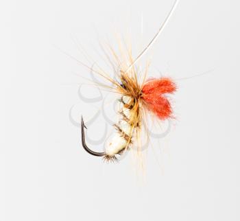 fly for fishing on a white background