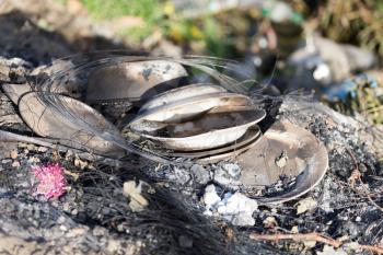 burnt dish on nature as garbage