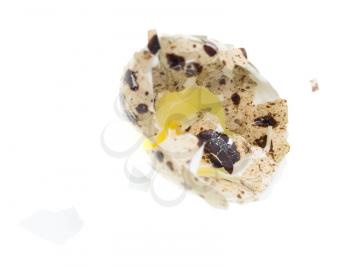 quail egg on a white background