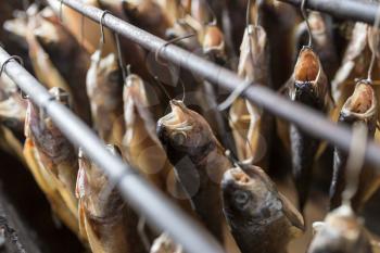 production of smoked fish