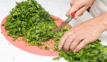 parsley and dill in the kitchen