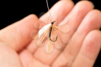 fly to catch fish in a hand on a black background