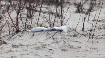 plastic bottle in the sand on nature. trash