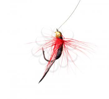 fly for fishing on a white background