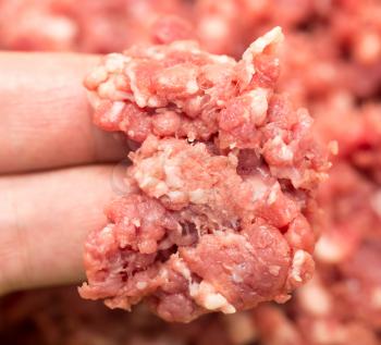 minced meat in his hand. macro