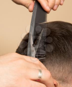 men's haircut at the beauty salon