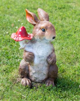 bunny with mushroom in nature