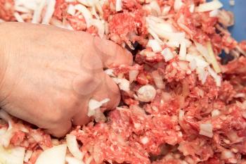 minced meat in a hand