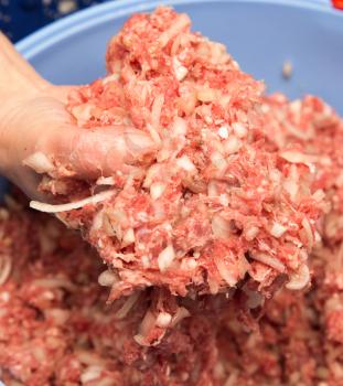 minced meat in a hand