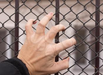 hand on a metal fence