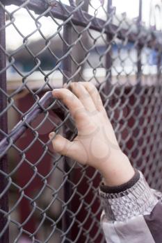 children's hands on a metal fence