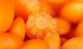 lentils as a background. macro