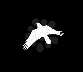 silhouette of a white crow on a black background .