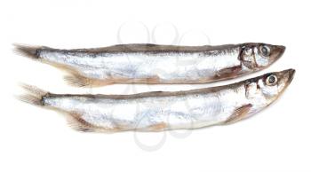 capelin on a white background . Cooking food