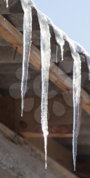 Icicles from the roof of the house .
