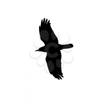 silhouette of a black crow on a white background .
