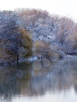 trees on the lake in winter . A photo