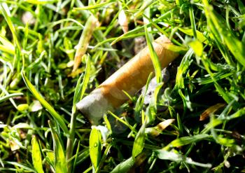 A cigarette in the grass like garbage .