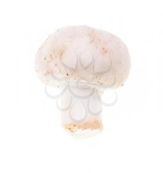 White mushrooms champignons on a white background