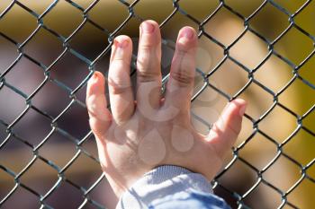 Child's hand on a grid of a metal fence .