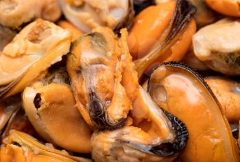 Orange mussels meat as a background. Macro