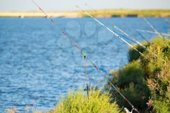 Fishing rods on the shore of the lake .