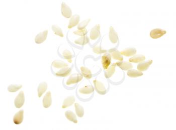 Sesame seeds isolated on white background. Macro