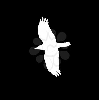 silhouette of a white crow on a black background .