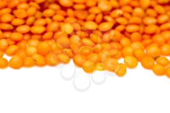 Red lentils on a white background. macro