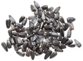 Fried black seeds isolated on white background .