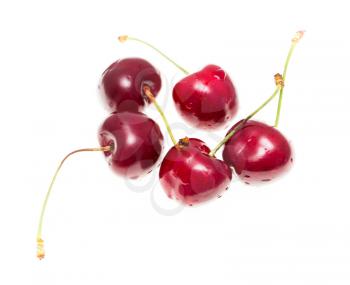 Juicy red cherry on a white background .