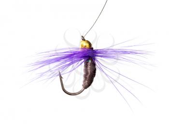 fly for fishing on a white background .