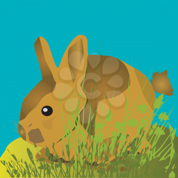 Royalty Free Clipart Image of a Small Rabbit