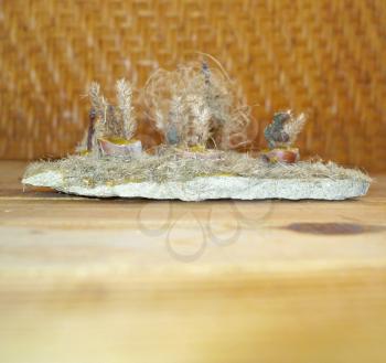 Miniature of nature - stone, beeswax, twigs, shells of hazelnuts