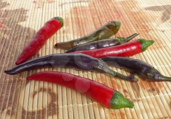 Red, green and violet chilies