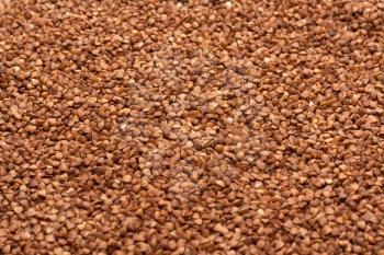 Royalty Free Photo of a Bunch of Buckwheat